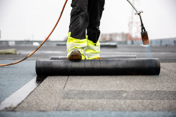 Roof Coating Services in Bushland, TX