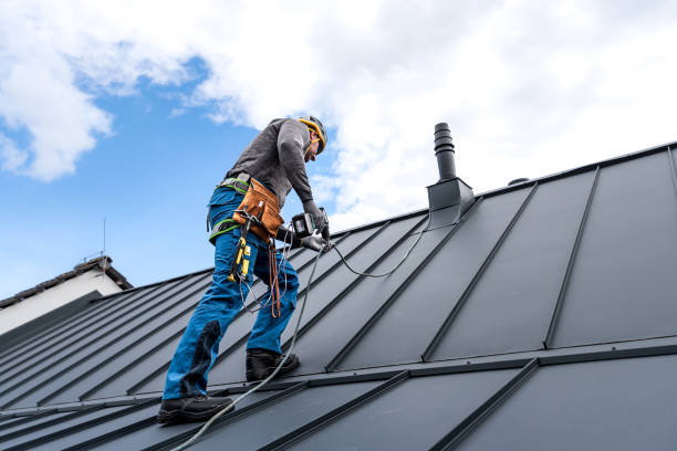 Best Sheet Metal Roofing  in Bushland, TX